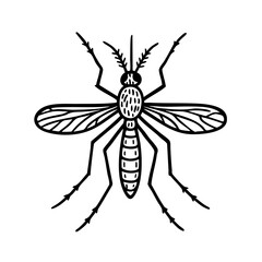 Anopheles Mosquito Doodle - Order Diptera