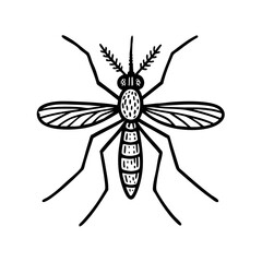 Anopheles Mosquito Doodle - Order Diptera
