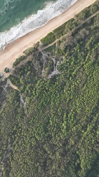 Florianopolis in Santa Catarina during a wonderful sunrise. Mo&ccedil;ambique forest in aerial view, vertical video.