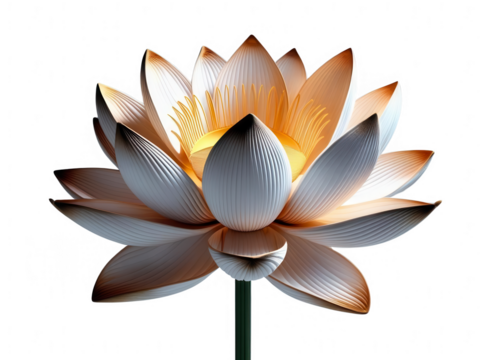 A luminous lotus flower unveils its petals isolated on transparent background, cut out, png, showcasing intricate beauty and serenity in a studio setting.