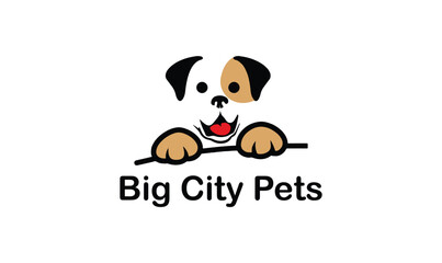 Big city pets logo for veterinary company