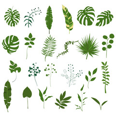 Vector Illustration of Various Green Leaves Isolated on White Background