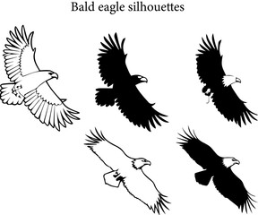 Bald Eagle Coloring Page | USA National Bird Line Art