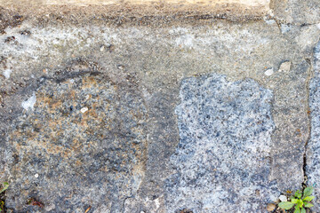 Worn Concrete Surface with Plant Growth