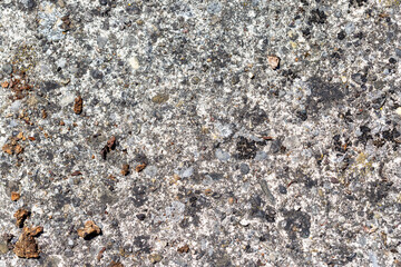 Gray Concrete Surface with Rocks and Debris