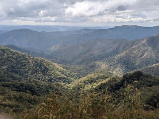 Naklejka premium Valley Depths and Rolling Forest Hills