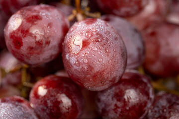 pink ripe grapes on the table after washing the berries
