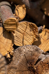cherry wood logs for bonfires , dried cherry wood for barbecuing or cooking food on the fire, close up