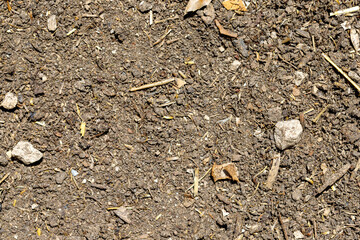 Close-up Soil Texture with Rocks and Debris