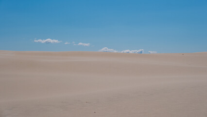 Sweeping dunes stretch across the horizon, gently rising and falling under a vibrant blue sky in Denmark. Soft clouds drift lazily, Rabjerg Mile dunes, Denmark