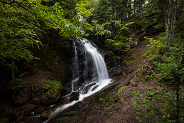 Obraz premium Fuller Falls, NB, Canada. 