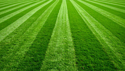 Striped lawn extends towards a vanishing point