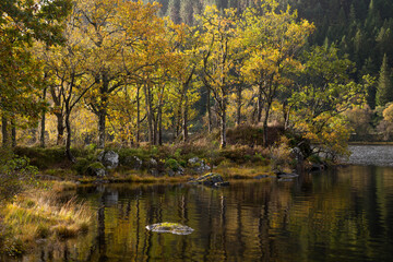 Loch Chon in autumn, Loch Lomond and Trossachs National Park, Scotland