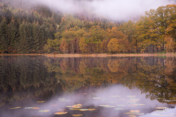Fototapeta premium Misty dawn over Loch Chon, Loch Lomond and Trossachs National Park, Scotland