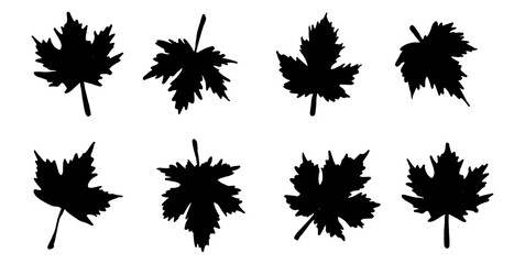 Black and White Silhouette Maple Leaf Leaves in Autumn or Fall Season, Minimalist Maple Logo Icon and Clip Art Vector Illustration