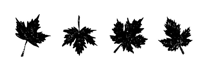 Black and White Silhouette Maple Leaf Leaves in Autumn or Fall Season, Minimalist Maple Logo Icon and Clip Art Vector Illustration