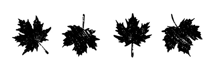 Black and White Silhouette Maple Leaf Leaves in Autumn or Fall Season, Minimalist Grunge Maple Logo Icon and Clip Art in Vector Illustration