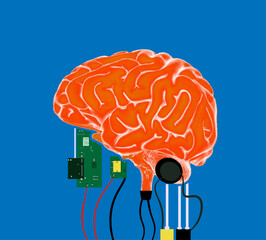 Hybrid brain combined with electronics.