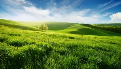 Obraz premium lush spring landscape with vibrant green grass