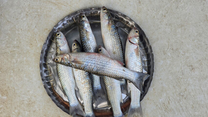 Close up shot of fish in dish in fish market.