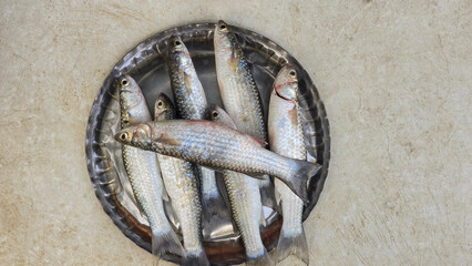 Close up shot of fish in dish in fish market.