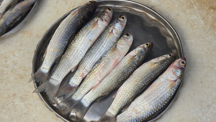 Close up shot of fish in dish in fish market.