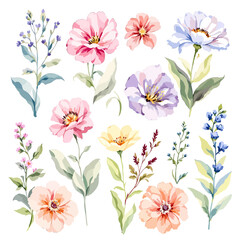 Obraz premium Whimsical watercolor wildflower collection featuring pastel summer blossoms and delicate garden botanical elements