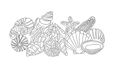 A Modern vector-style collection of detailed seashell and marine illustrations, Include a variety of shell types such as spiral, conch, scallop, and clam shells, easily scalable and editable.