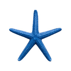 starfish isolated on a transparent background