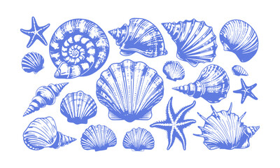 A Modern vector-style collection of detailed seashell and marine illustrations, Include a variety of shell types such as spiral, conch, scallop, and clam shells, easily scalable and editable.