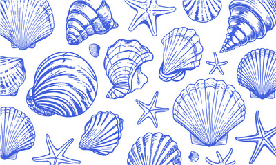A Modern vector-style collection of detailed seashell and marine illustrations, Include a variety of shell types such as spiral, conch, scallop, and clam shells, easily scalable and editable.