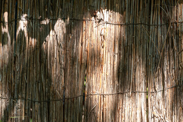 Textured natural wood wall for abstract background. Background for your project