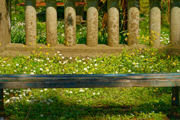 Stone columns stand tall, partially obscured by vibrant ivy, creating a peaceful atmosphere in a...