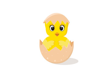 A cute, cartoon-style yellow chick hatching from a cracked egg. Isolated on a white background, perfect for Easter or springtime designs.