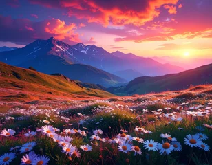 Selbstklebende Fototapeten カモミールの花 © photo-sozai-create