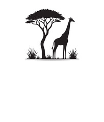  Silhouette of a giraffe , isolated on a white background