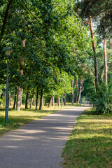Shaded park alley with paving stones surrounded by tall green trees on a sunny summer day.

