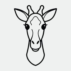 giraffe in a white background