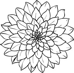 dahlia flower vector outline icon on white or transparent background