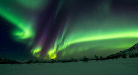 Aurora Borealis over a Snowy Landscape