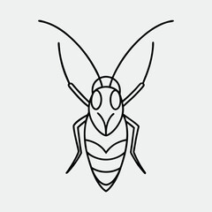 Line art of a insect on the white background.
