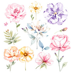 Watercolor floral illustration set with delicate flowers and leaves, isolated on white background