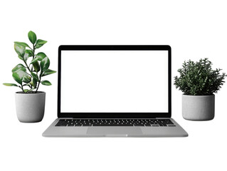 Fototapeta premium A laptop is open on a table with two potted plants