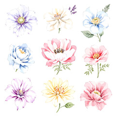  Set of watercolor flowers on white background, Set watercolor Flowers Clipart