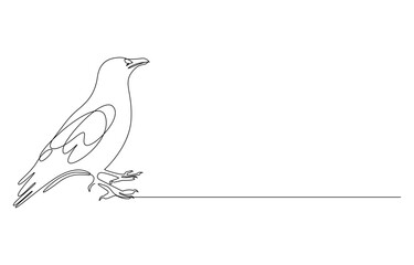 crow continuous line drawing