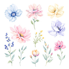  Set of watercolor flowers on white background, Set watercolor Flowers Clipart © Watercol