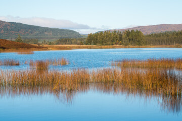 Stroan Loch in autumn, Galloway Forest, Dumfries & Galloway, Scotland