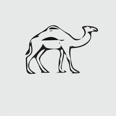 Nomadic Animal Camel Flat Vector Symbol....