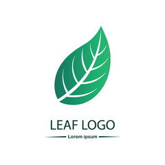 Fototapeta premium Leaf logo