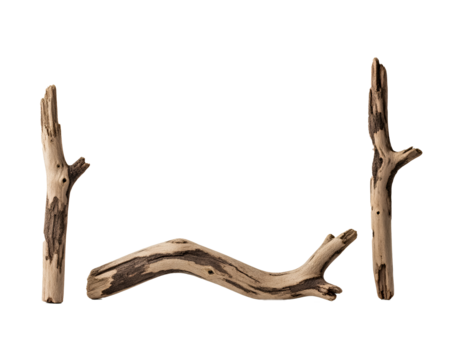 Three dry twigs on cutout transparent background isolate